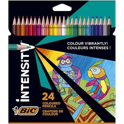 Bic Intensity Kuru Boya Kalemi 24 Renk - 1