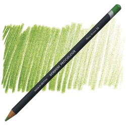 Derwent Procolour Kuru Boya Kalemi 50 MOSS GREEN - 1