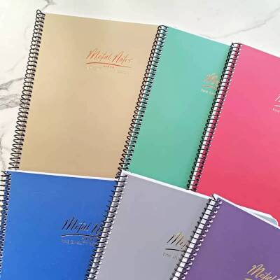 Gıpta Metal Notes Spiralli PP Kapak Defter 17x24 cm 100 yp Çizgili - 1