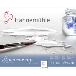 Hahnemühle Harmony Rough Suluboya Blok 24x30 cm. 300 gr. 12 yp. - 1