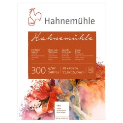 Hahnemühle Rough Suluboya Blok 30x40 cm. 300 gr. 10 yp. - 1