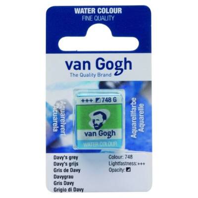 Talens Van Gogh 1/2 Tablet Sulu Boya 748 Davy's Grey - 1