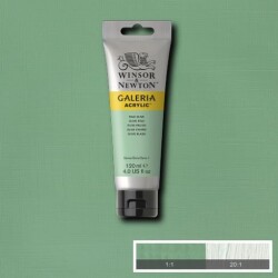 Winsor & Newton Galeria Akrilik Boya 120 ml. 435 Pale Olive - 1