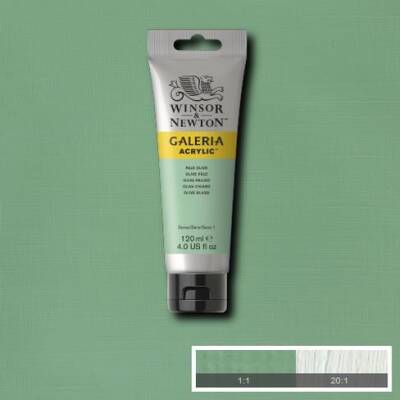 Winsor & Newton Galeria Akrilik Boya 120 ml. 435 Pale Olive - 1